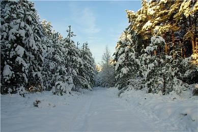 育碧确认《彩虹六号：围攻》声望系统错误标记无辜玩家